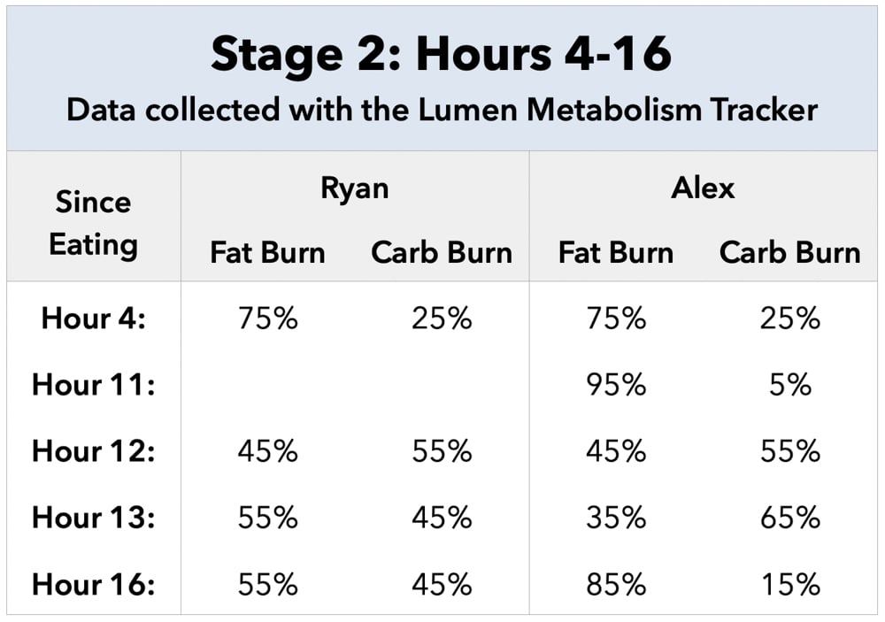 Stages of Fasting By Hour Stage 2