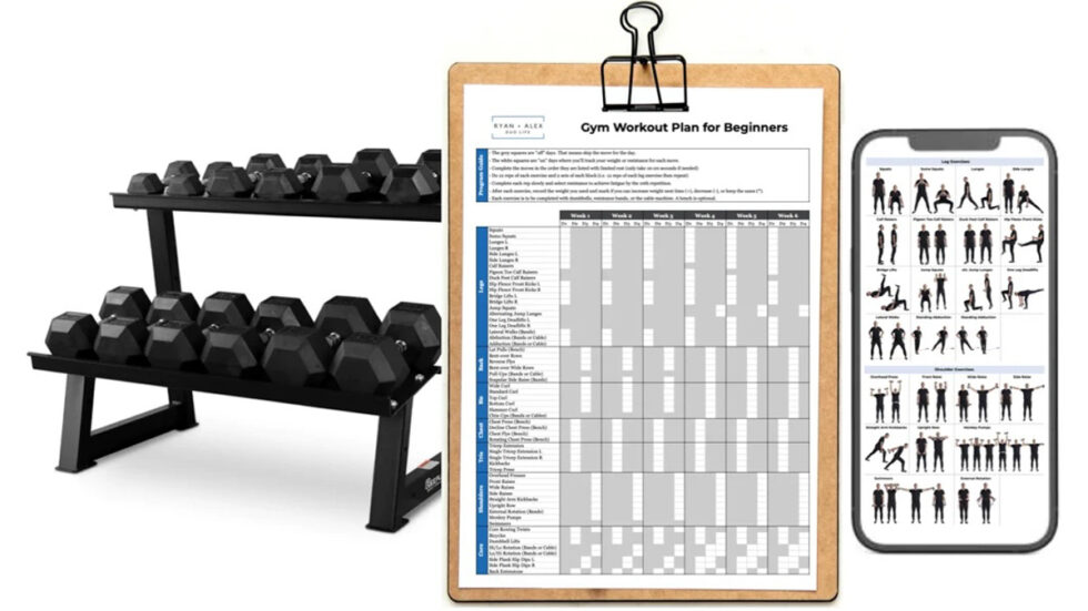 12-Week Gym Workout Program for Beginners PDF (Calendar & Pictures)